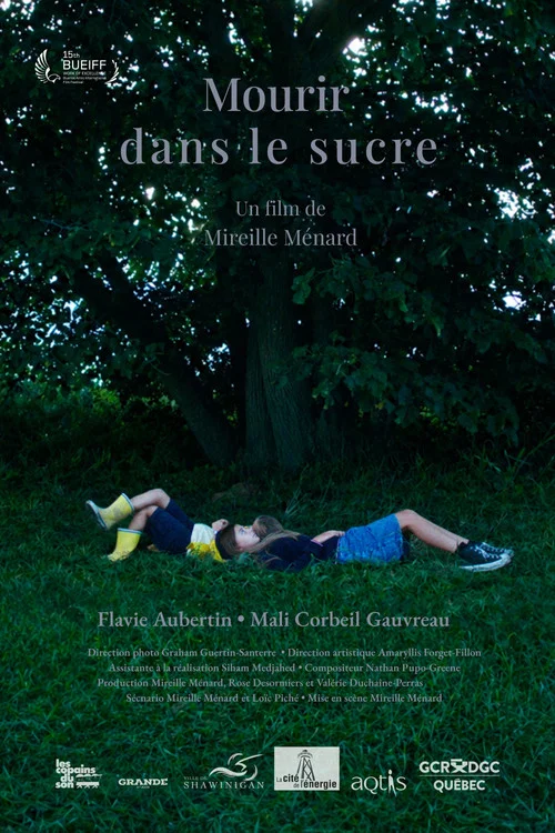 Movie poster for Mourir dans le sucre (2025)