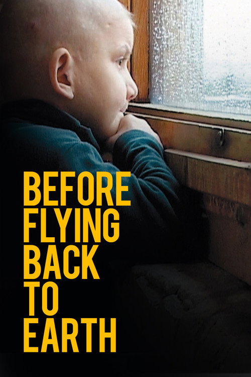 Movie poster for Before Flying Back to Earth (2005)