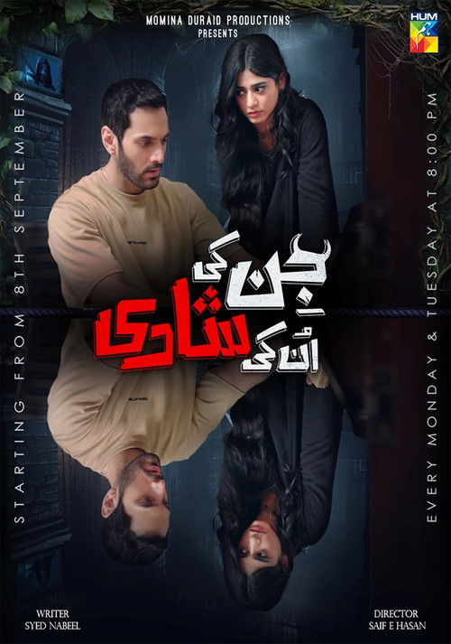 Jinn Ki Shadi Un Ki Shadi poster