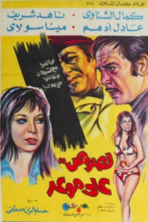 Movie poster for Boğaziçi Soygunu (1969)