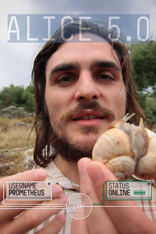 Movie poster for Alice 5.0 (2011)