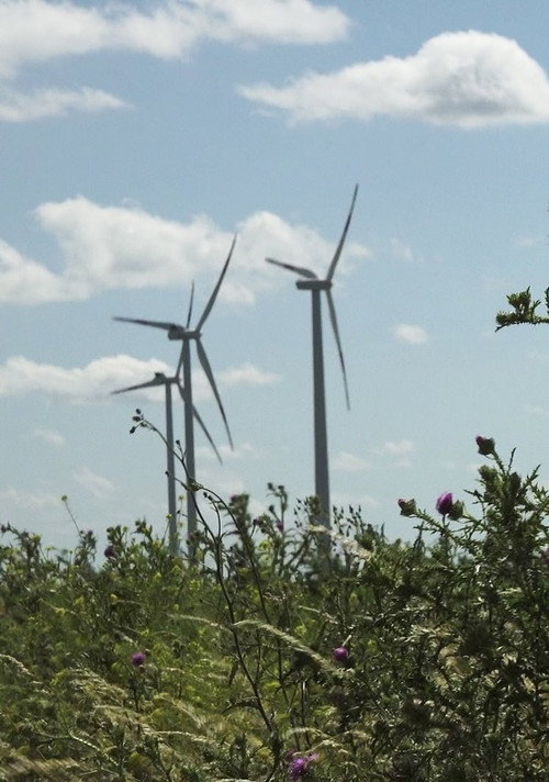 Movie poster for Windpark: Ein Lichtspiel bei Nacht (2024)