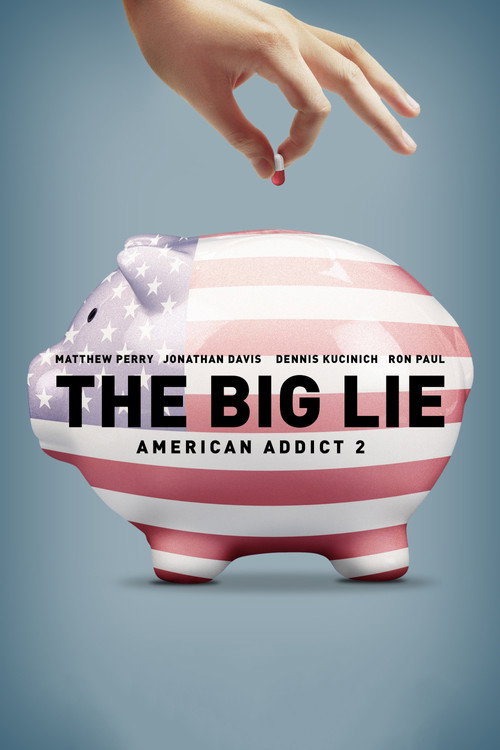 Movie poster for The Big Lie: American Addict 2 (2016)