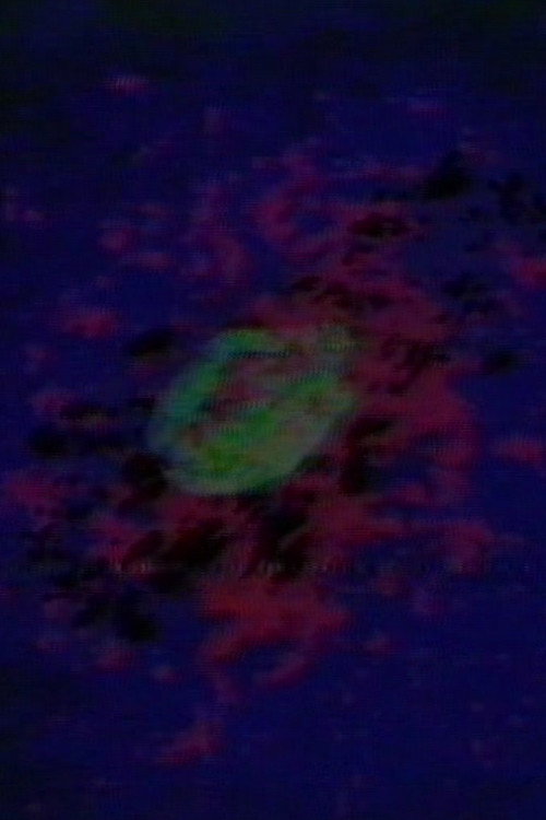 Movie poster for Circling (1975)