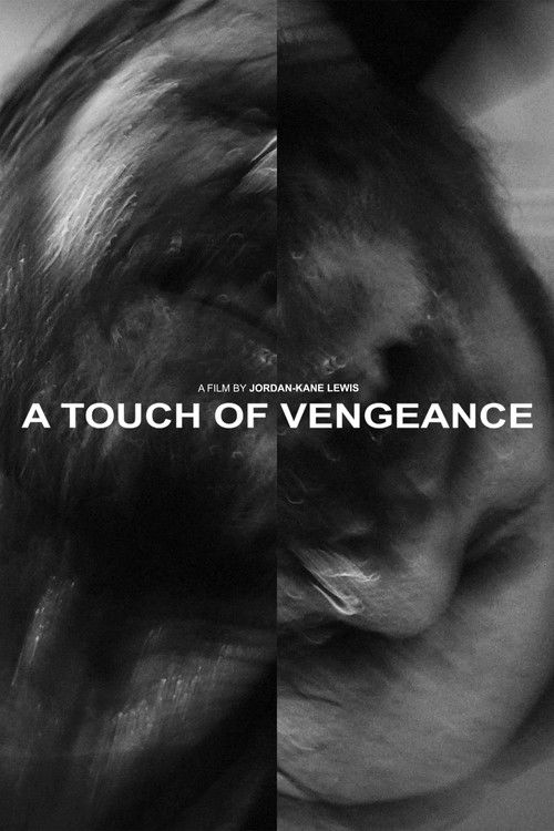 Movie poster for A Touch of Vengeance (2022)