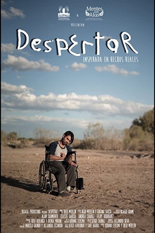 Movie poster for Despertar (2016)