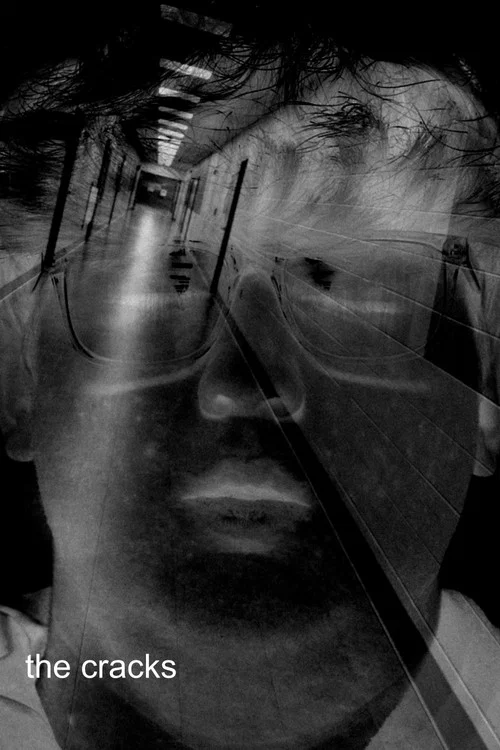 Movie poster for The Cracks