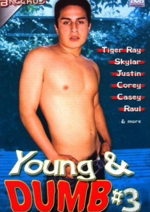 Movie poster for Young & Dumb 3 (2004)
