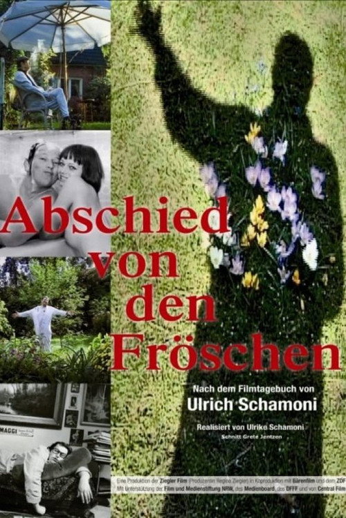 Movie poster for Abschied von den Fröschen (2012)