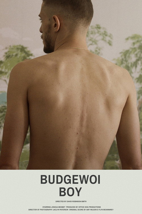 Movie poster for Budgewoi Boy (2018)