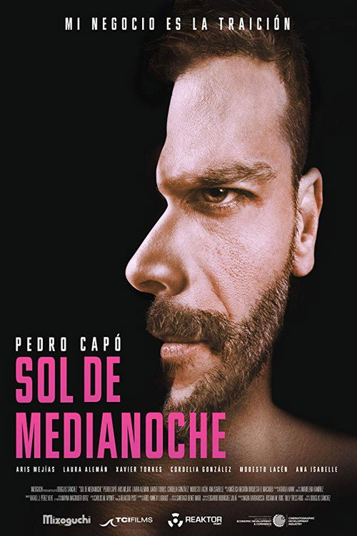 Movie poster for Sol de medianoche (2017)