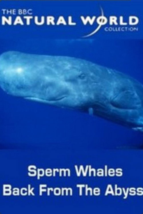 Movie poster for Sperm Whales: Back from the Abyss (1996)