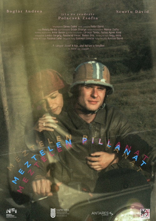 Movie poster for Our Tender Moment (2025)
