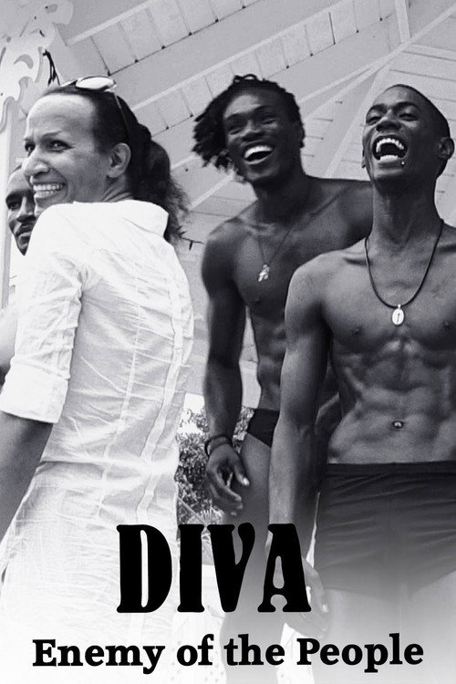 Movie poster for Diva: Enemy of the People (2016)