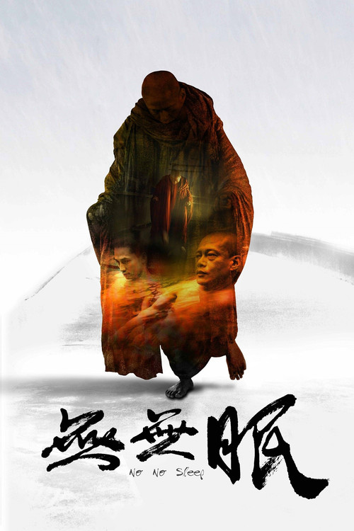 Movie poster for No No Sleep (2015)