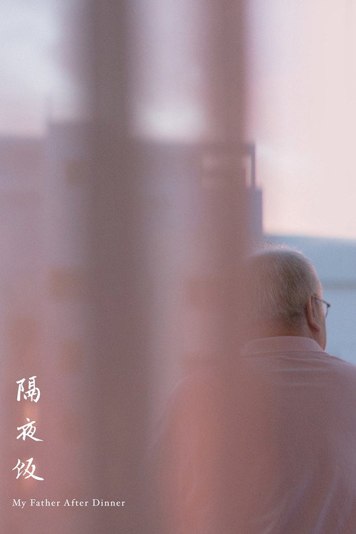 Movie poster for My Father After Dinner (2016)