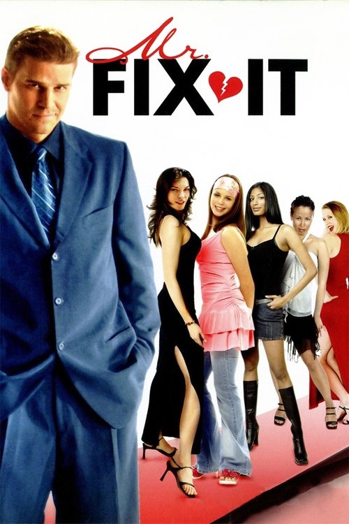 Movie poster for Mr. Fix It (2006)