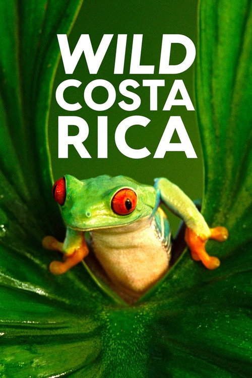 Movie poster for Wild Costa Rica (2000)