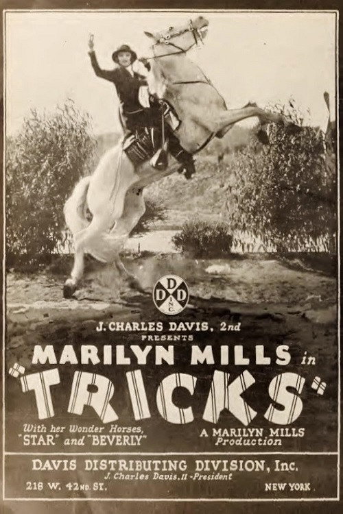 Movie poster for Tricks (1925)