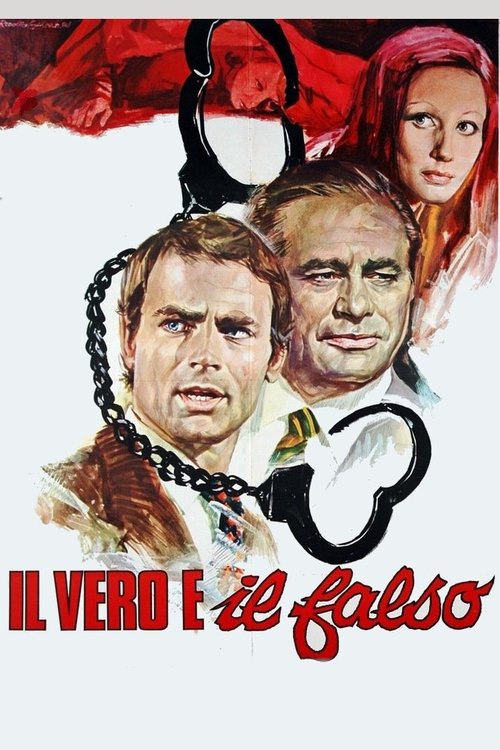 Movie poster for The Hassled Hooker (1972)