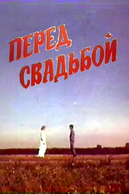 Movie poster for Before the Wedding (1987)