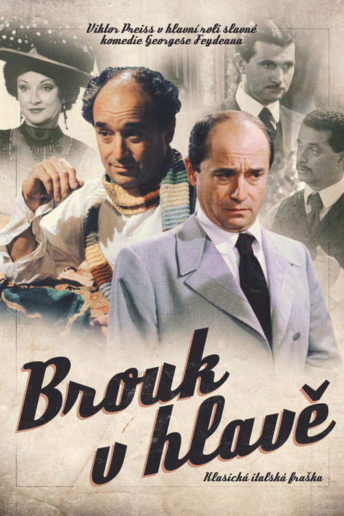 Movie poster for Brouk v hlavě (2003)