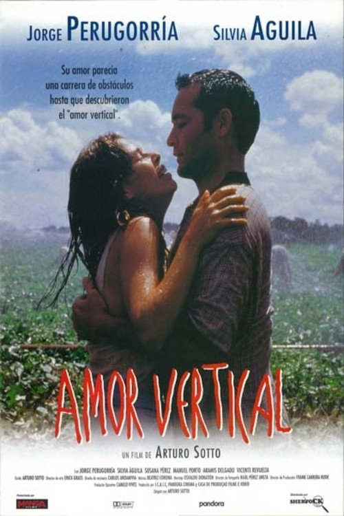 Movie poster for Vertical Love (1997)
