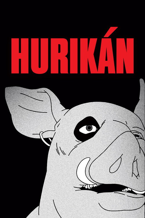 Movie poster for Hurikán (2024)