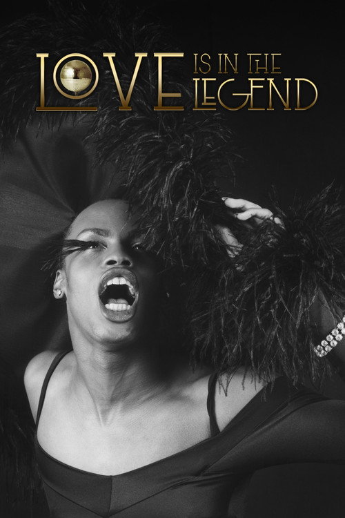 Movie poster for Love is in the Legend (2022)