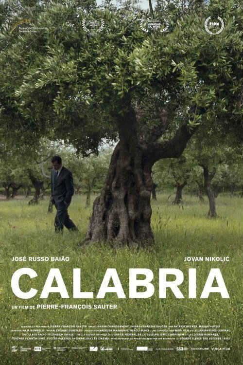 Movie poster for Calabria (2016)