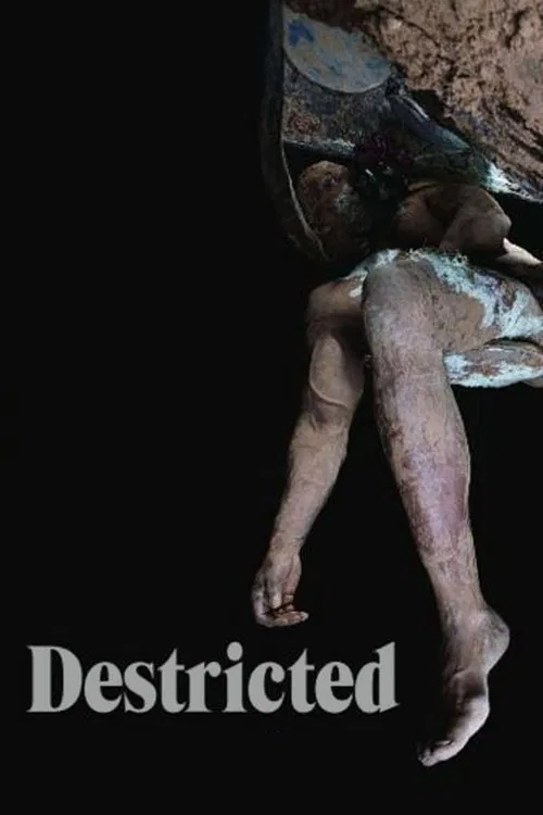 Movie poster for Destricted (2006)