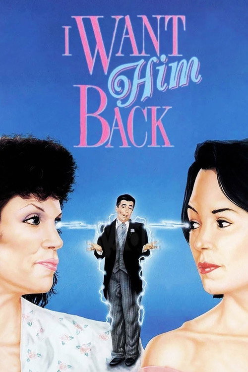 Movie poster for Stolen: One Husband (1990)
