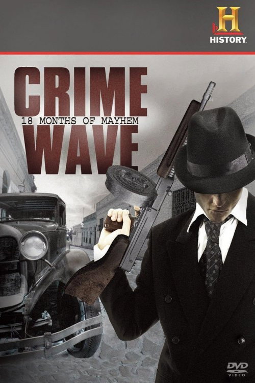 Movie poster for Crime Wave: 18 Months of Mayhem (2008)