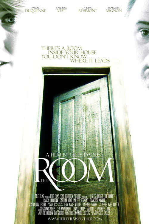 Movie poster for The Room (2006)