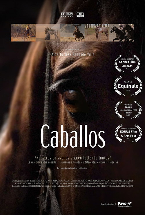 Movie poster for Caballos