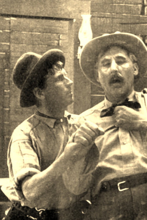 Movie poster for The Stage Driver's Daughter (1911)