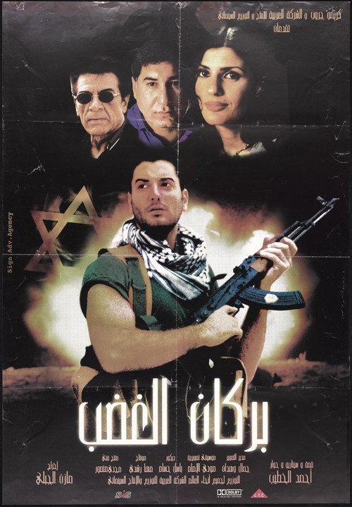 Movie poster for Volcano of Rage (2002)