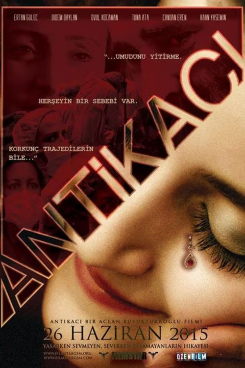 Movie poster for Antikacı