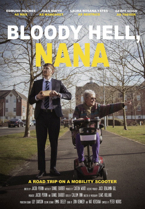 Movie poster for Bloody Hell, Nana