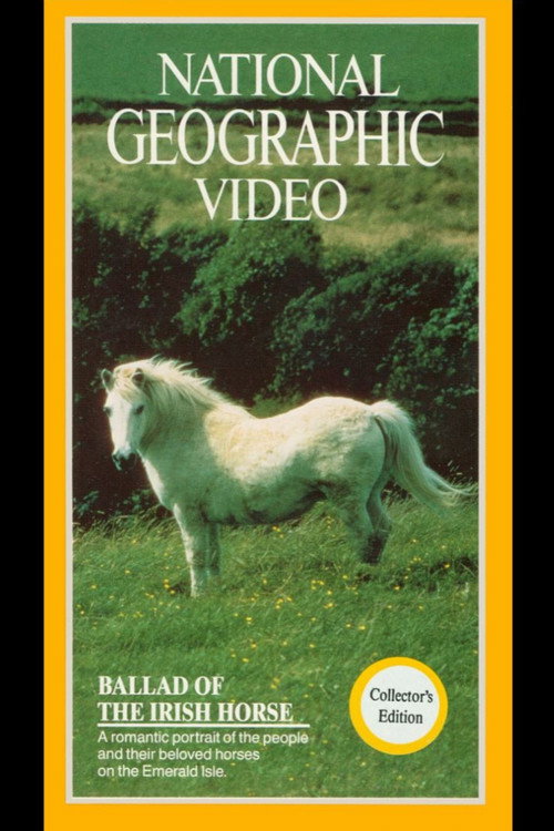 Movie poster for Ballad of the Irish Horse (1985)