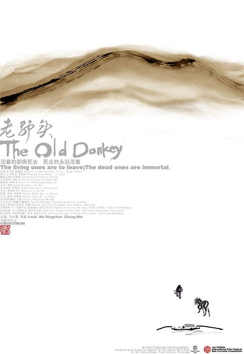 Movie poster for The Old Donkey (2010)