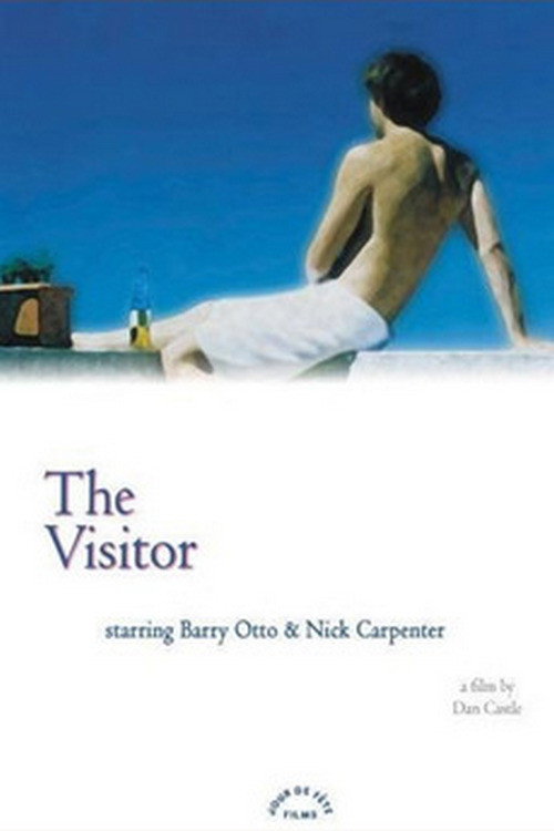 Movie poster for The Visitor (2002)