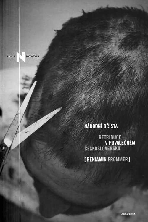 Movie poster for Národní očista (2018)