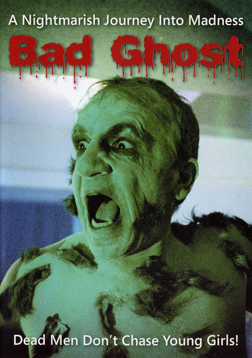 Movie poster for Bad Ghost (2008)