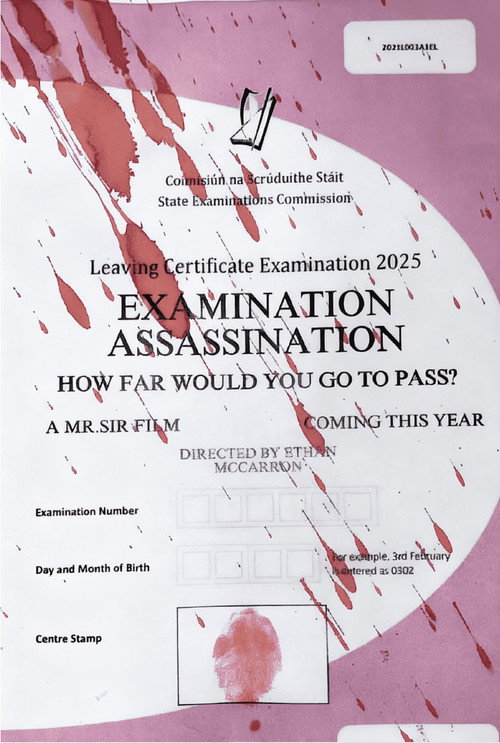 Movie poster for Examination Assassination (2025)