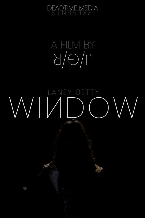 Movie poster for Window