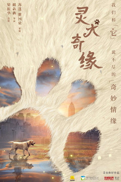 Movie poster for 灵犬奇缘 (2022)