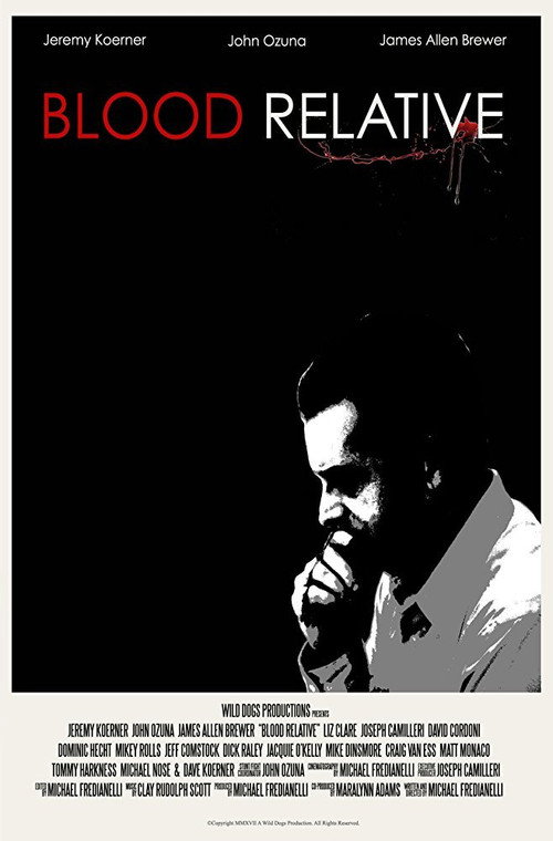 Movie poster for Blood Relative (2017)