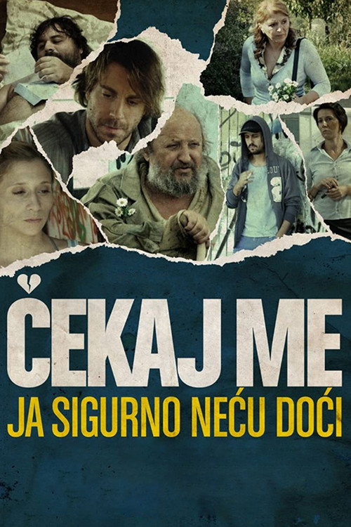 Movie poster for Wait for Me and I Will Not Come (2009)