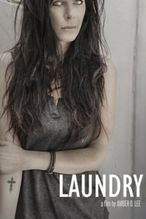 Movie poster for Laudry (2009)